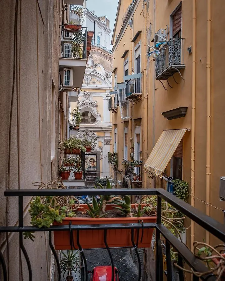 Museo19 Home Naples